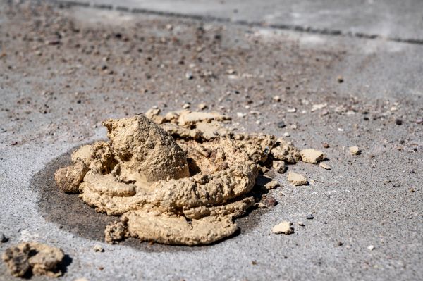 Cost of Driveway Slab Leveling in Nokomis